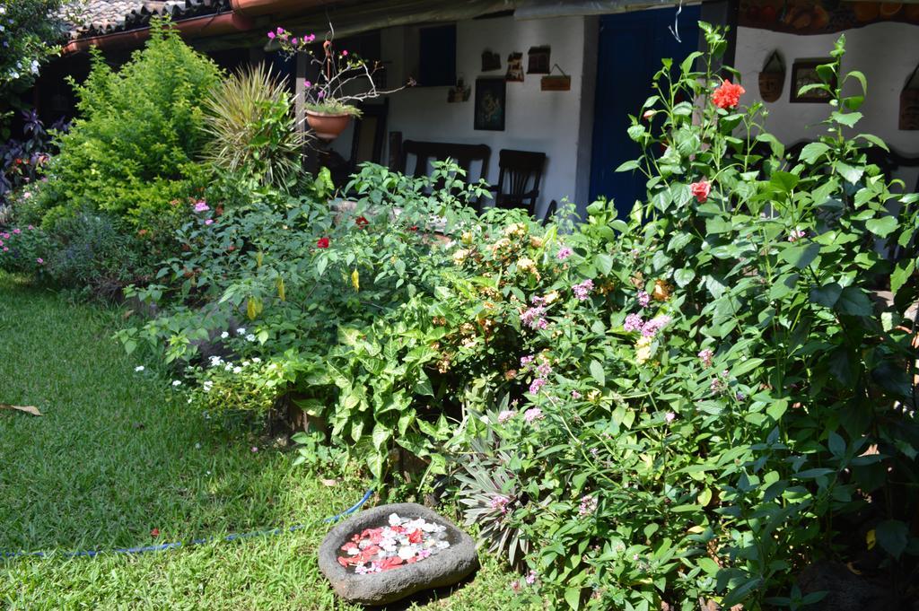 Casona Los Vega Izalco Exterior photo